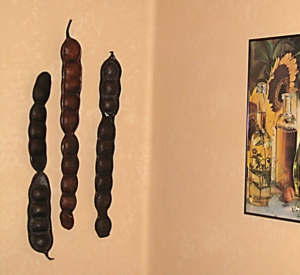 bean pods on wall_3d wall art_contents furniture tucson_interior design tucson