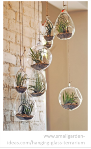 plant art terrarium_3D wall art_interior design tucson_tde